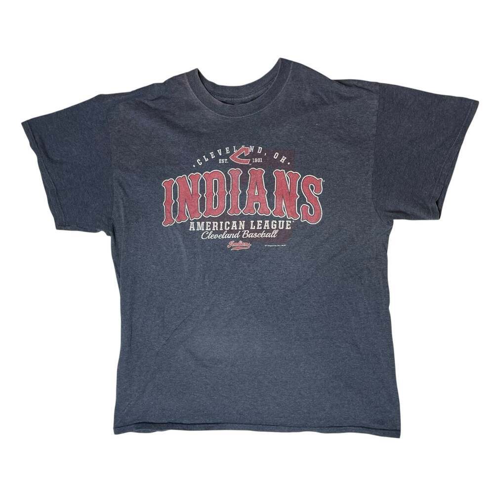 Cleveland Indians T Shirt Mens Large Gray MLB Graphic Tee